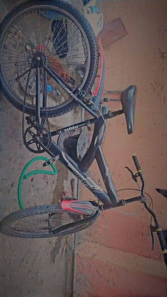 bicycle 5