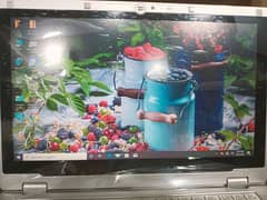 Panasonic touch screen