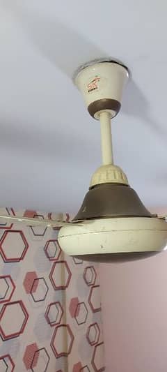 2 slightly used ceiling fans