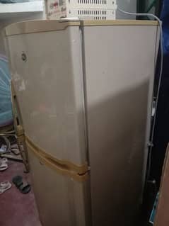 PEL Refrigerator for Sale with stabilizer