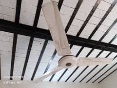GFC ceiling fan 56 wala