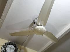 ceiling fan for sell
