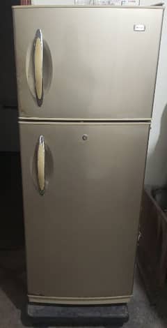 Haier Fridge