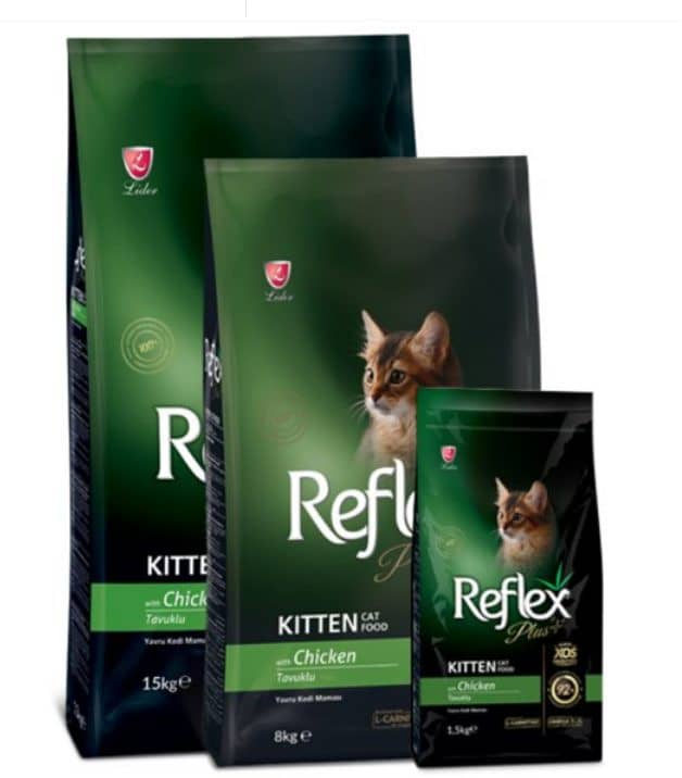 Econature cat food Diamond Maintenance Cat food Reflex 5