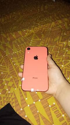 iphone xr 64