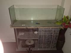 fish aquarium for sale