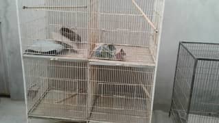 Beautiful Bird two  cage