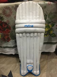 mitre pads and gloves with BAS VAMPIRE bat