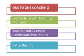 One to One Coaching for Learning Problems