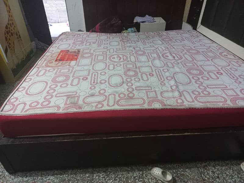 Master molty foam mattress 2