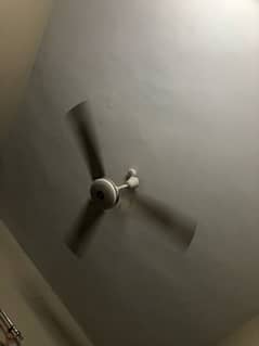 perfect ceiling fans