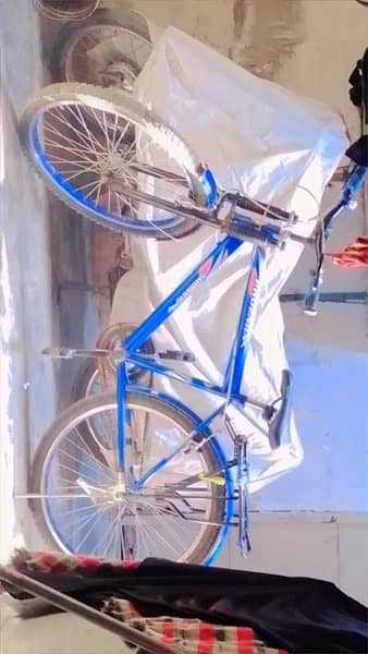 phoenix bicycle 1