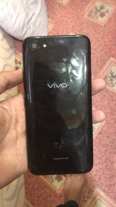 vivo