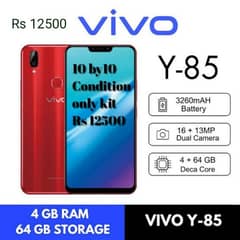 Vivo