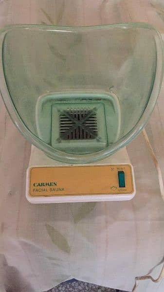 carman facial sauna 1