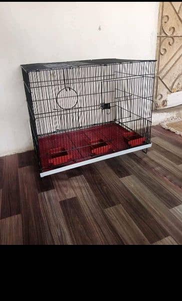 Brand New Birds cages available 0