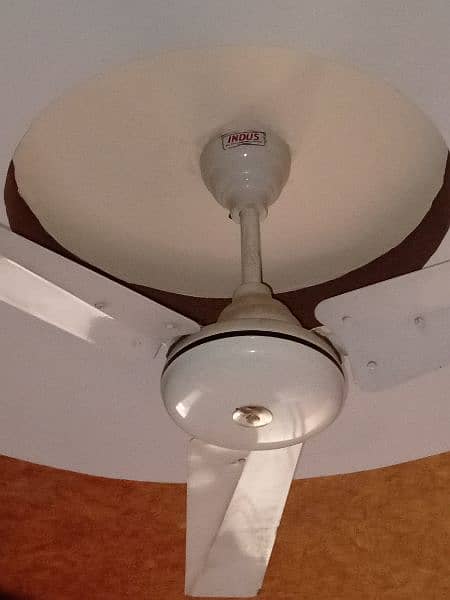 New fan without any problem 0