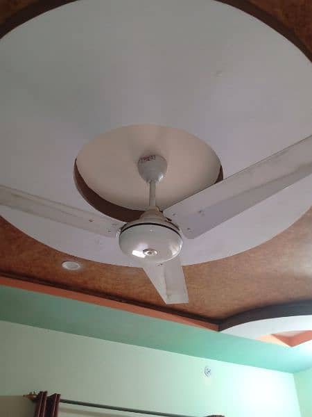 New fan without any problem 1