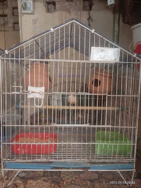 Cage for sale 1