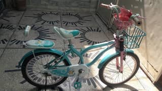Girls Bicycle