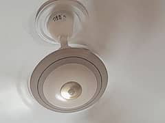 Used Ceiling fan