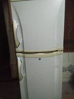 pel medium size  fridge. A. one condition . whats number 03196104412