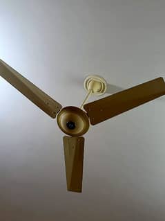 ceiling fan 10/10 condition excellent running