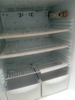 pel fridge 0300=9699=515