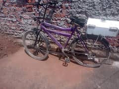 Electric bike/Bicycle