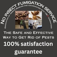 Deemak Termite Bedbugs Cockroaches And All Types Of Pests Fumigations