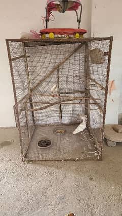 Iron cage for birds, parrots, pegions and hens