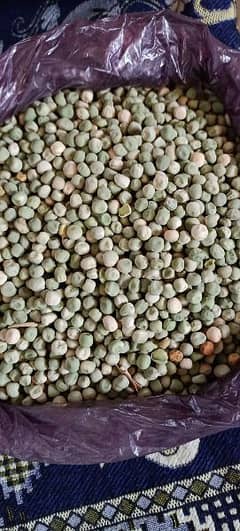 Pea seeds / مٹر کا بیج