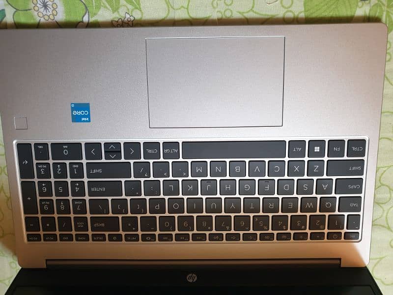 (Brand new)HP 250 G10 Laptop 13th Gen Core i3 2
