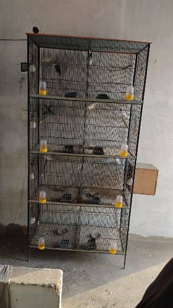 cage / cages 8 portion cage 2 portion cage 10 portion cage 1