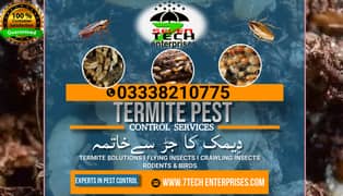 Termite control | Deemak control | Dengue spary,Fumgation,Pest contro