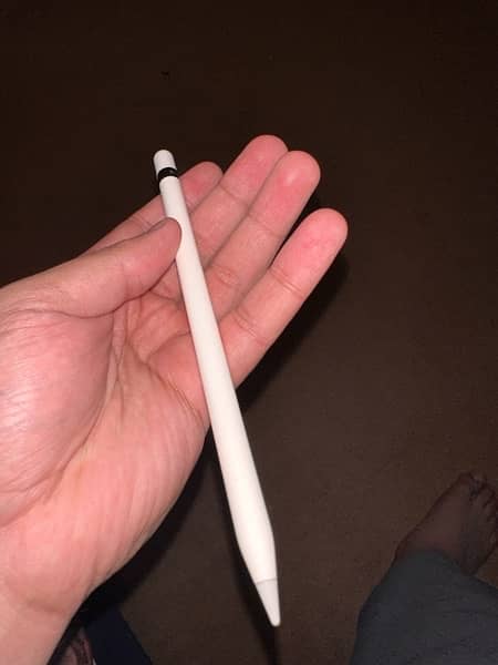 Apple Pencil 1st Generation 10/10 0