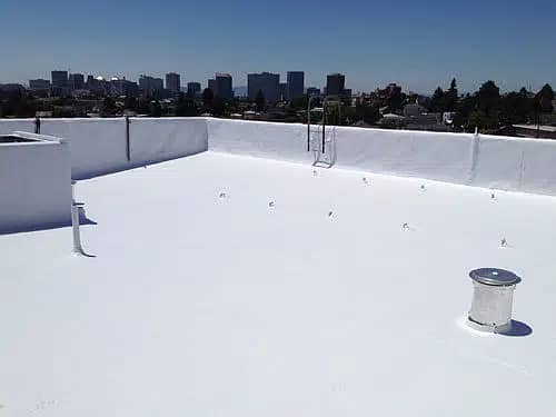 Waterproofing | Bathroom Leakage | Tank Waterproofing | Seepage | Roo 3