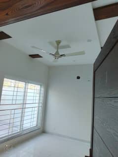 Brand New Flat For Bachelors Available For Rent UCP Backside