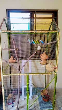 Big Steel Cage for all Birds. Urgent Selling