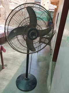 Osnate pedestal fan big size