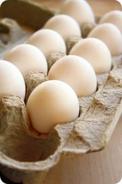 100% Fertile Muska Lakha, Bengum Aseel, Hera or Dasi Fresh Eggs 4 sale