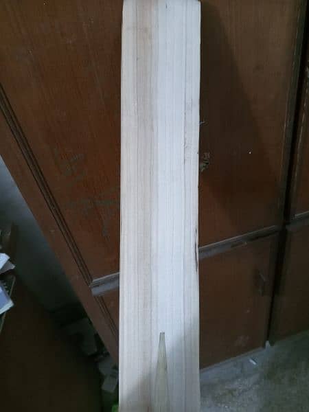 hard ball cricket bats for sale(English willow) 14