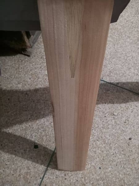 hard ball cricket bats for sale(English willow) 15