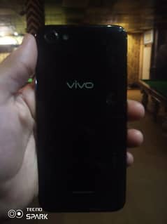 vivo