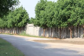 1,2,4 Kanal Farm City Farmhouse Society Located on Main Bedian road Lahore