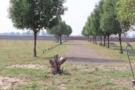 Farmhouse Land For Sale Farm City Farmhouse Society Bedian Road Lahore