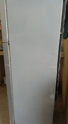 Haier company  fridge