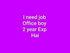 i Need Job Office Boy