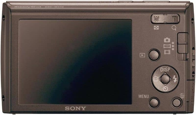 Sony-Cyber-Shot/DSC-W510 1