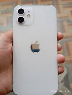 iPhone 12 for sale white colour non pta